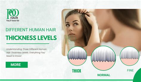 instrument to measure thickness of hair|human hair thickness.